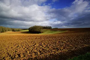 Noyon: Fields of Battle - Aisne