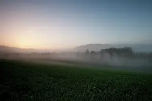 Vingre: Fields of Battle - Aisne
