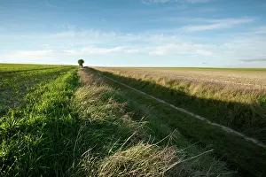 Expected: Fields of Battle - Amiens