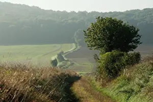 Expected: Fields of Battle - Amiens