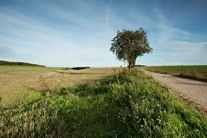 Copse: Fields of Battle - Amiens