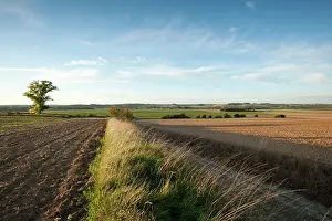Affected: Fields of Battle - Amiens