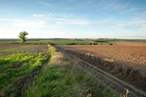 Affected: Fields of Battle - Amiens
