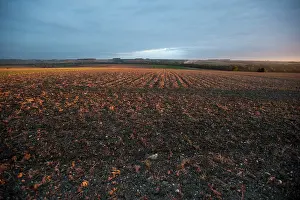 Affected: Fields of Battle - Amiens