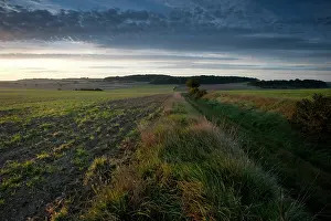 Affected: Fields of Battle - Amiens
