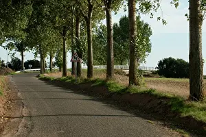 Whippets: Fields of Battle - Amiens