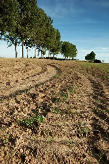 Whippets: Fields of Battle - Amiens