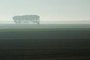 Whippet: Fields of Battle - Amiens
