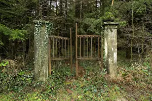 Pionier: Fields of Battle - Argonne