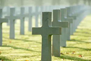 Abmc: Fields of Battle - Argonne