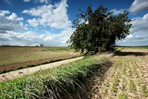 Somewhere: Fields of Battle - Arras