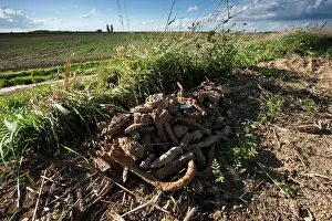 Told: Fields of Battle - Arras
