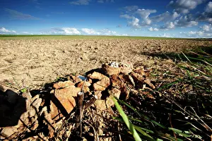 Told: Fields of Battle - Arras