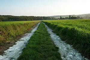 Maur: Fields of Battle - Belleau Wood