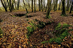 Belleau: Fields of Battle - Belleau Wood