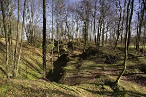 Malmaison: Fields of Battle - Chemin des Dames