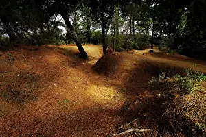 Retaken: Fields of Battle - Gallipoli