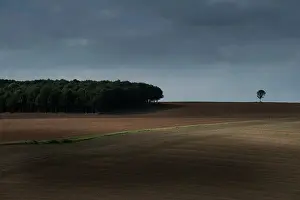 Stellung: Fields of Battle - Hindenberg Line