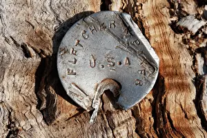 Chemin: Fields of Battle, Lands of Peace - American Dog Tag