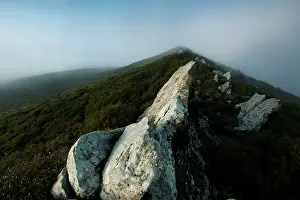 Atop: Fields of Battle, Lands of Peace - Gallipoli