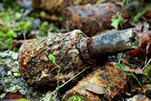 Battlefields: Fields of Battle, Lands of Peace - German grenade