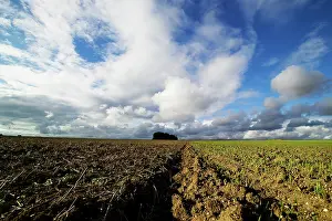 Westwards: Fields of Battle - Loos