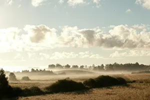 Rennenkampf: Fields of Battle - Masurian Lakes