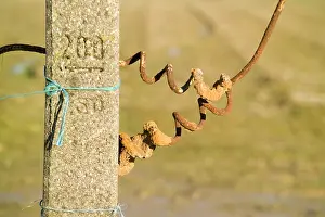 Messines: Fields of Battle - Messines