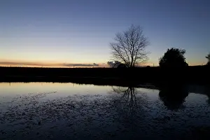 Messines: Fields of Battle - Messines
