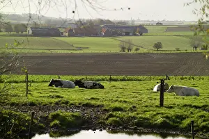 Messines: Fields of Battle - Messines