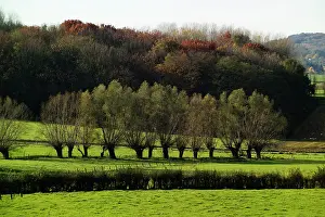 Messines: Fields of Battle - Messines