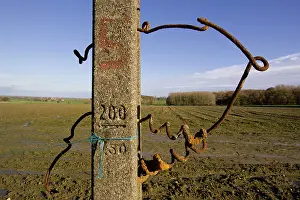 Messines: Fields of Battle - Messines