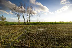 Messines: Fields of Battle - Messines