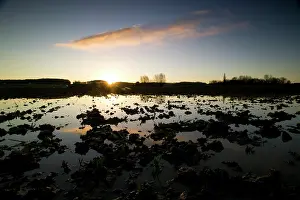 Messines: Fields of Battle - Messines