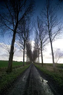 Messines: Fields of Battle - Messines