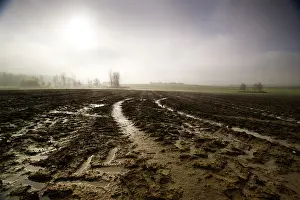Messines: Fields of Battle - Messines