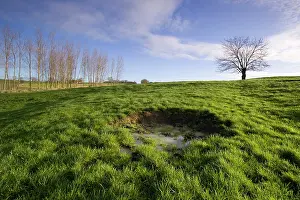 Messines: Fields of Battle - Messines