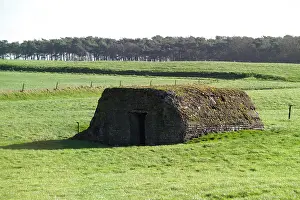 Messines: Fields of Battle - Messines