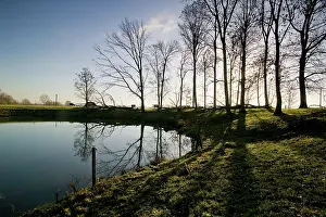 000lb: Fields of Battle - Messines