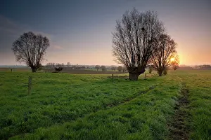 Douve: Fields of Battle - Messines