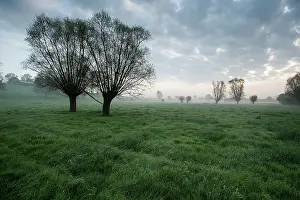 Ploegsteert: Fields of Battle - Messines