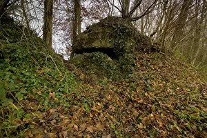 Thiescourt: Fields of Battle - Oise