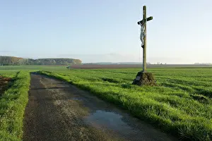 Trones: Fields of Battle - Somme