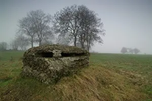 Hebuterne: Fields of Battle - Somme