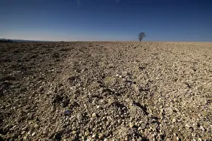 Upland: Fields of Battle - Somme