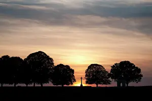 Courcelette: Fields of Battle - Somme