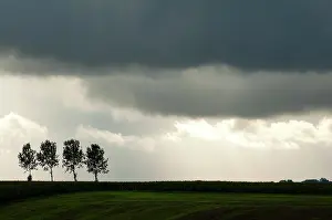 Westwards: Fields of Battle - Somme