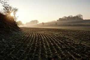 Malins: Fields of Battle - Somme
