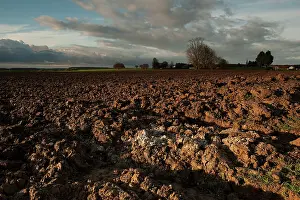Westwards: Fields of Battle - Somme