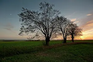 Southwards: Fields of Battle - Somme